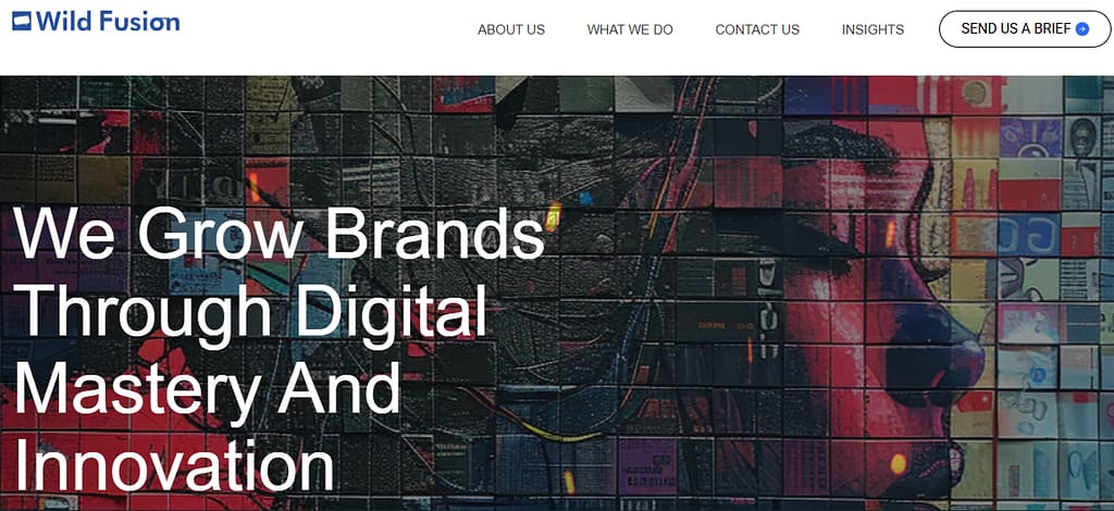 Wild Fusion: Best Content Marketing Agencies in Nigeria